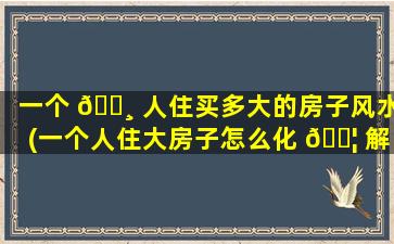 一个 🕸 人住买多大的房子风水(一个人住大房子怎么化 🐦 解风水)